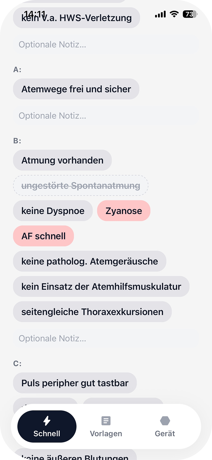 Screenshot Schnellprotokoll Variante 2